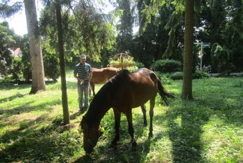 Práca môže aj liečiť