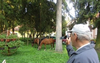 Grantové programy 2018