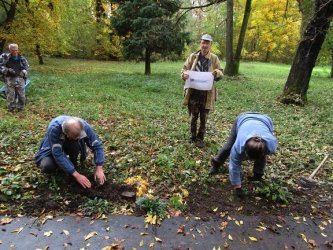 ,, Zeleň pre pokoj duše“ - vyhodnotiaca správa