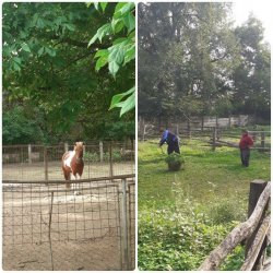 Naši prijímatelia sa podieľajú na skrášľovaní  svojho domova