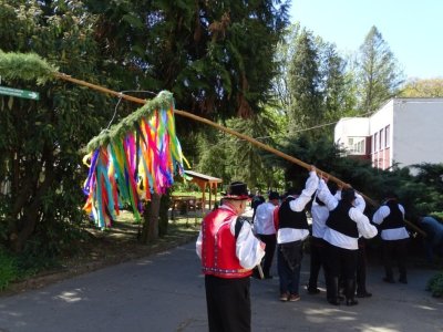 Stavanie mája znovu prinieslo do nášho zariadenia radosť aj krásu tradícií